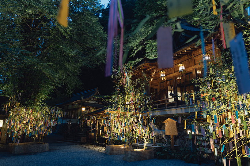夏の京都、夜のおすすめイベント2023 ライトアップ・夜間特別拝観など