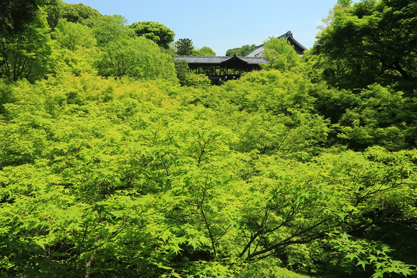 東福寺