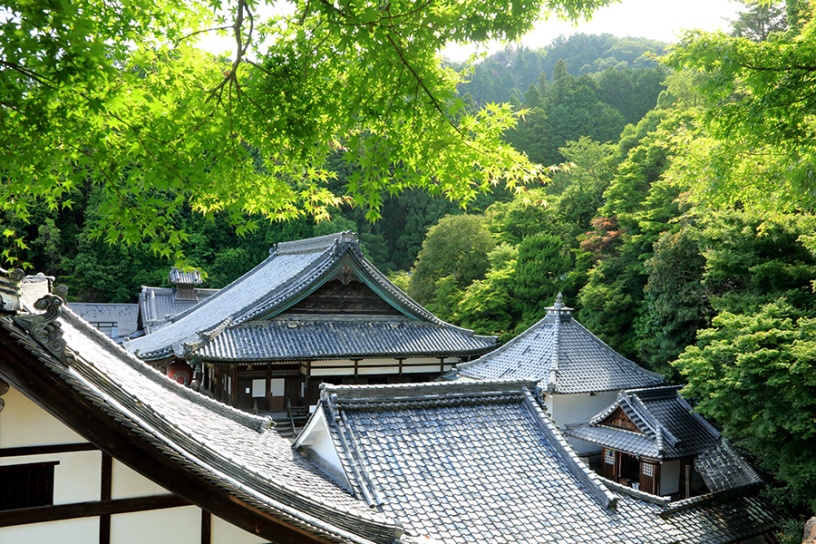 柳谷観音 楊谷寺
