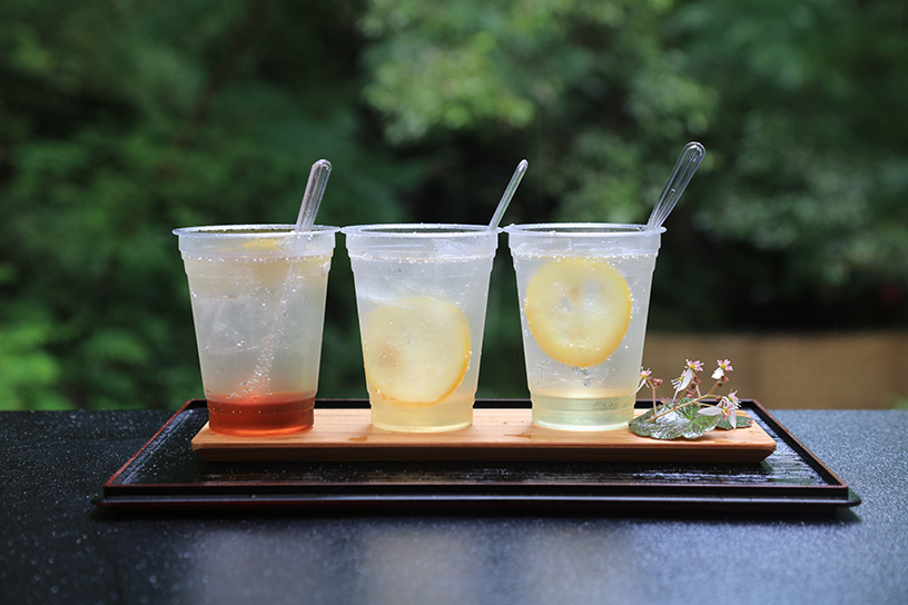 自家製ソーダは700円～。左から、ほうじ茶レモンソーダ、花レモネード クロモジ・ミツバツツジ（花レモネードの種類は季節により変わります）