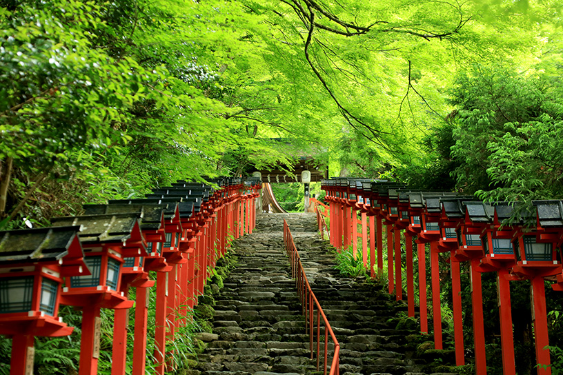 水神を祀る 貴船神社 の見どころ 授与品 周辺スポットをご案内 そうだ 京都 行こう