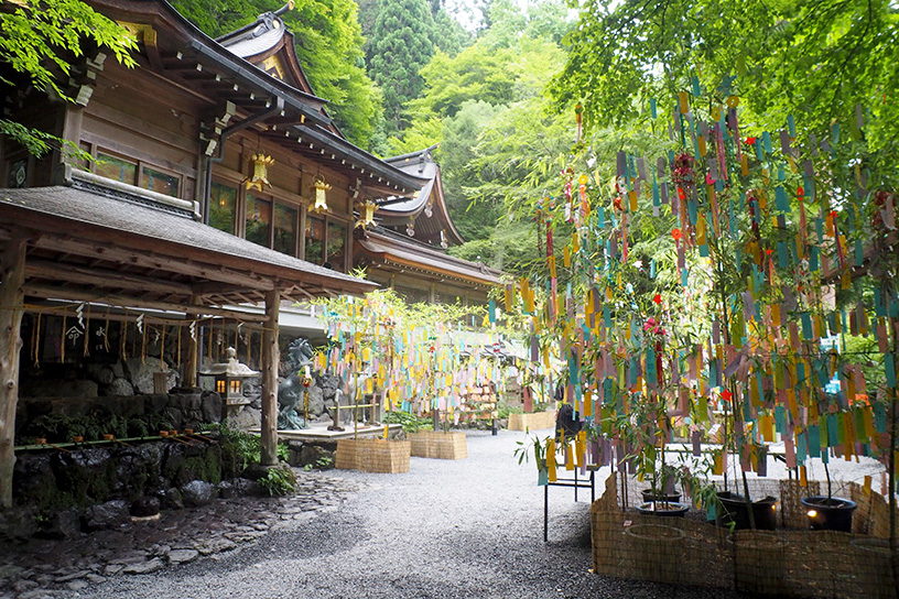 例年7月1日～8月15日までは境内に七夕の笹飾りが飾られています