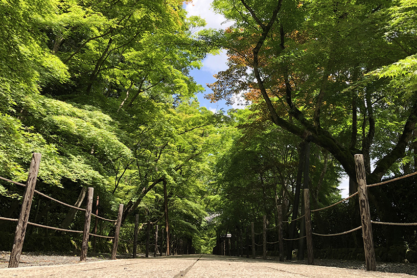 光明寺