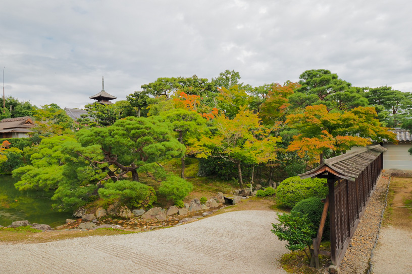 仁和寺（撮影日：2022年10月13日）