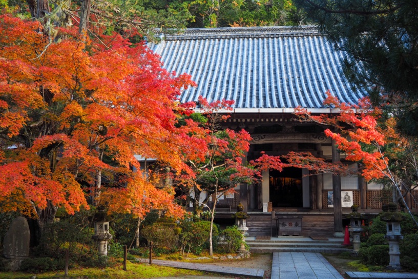 西明寺（撮影日：2021年11月11日）