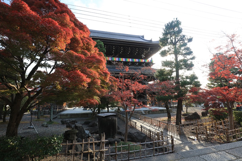 くろ谷 金戒光明寺（撮影日：2021年11月18日）