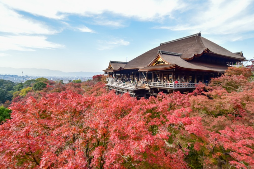 清水寺（撮影日：2021年11月19日）