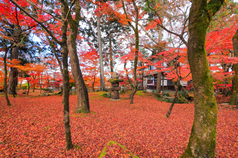 永観堂（撮影日：2021年12月2日）