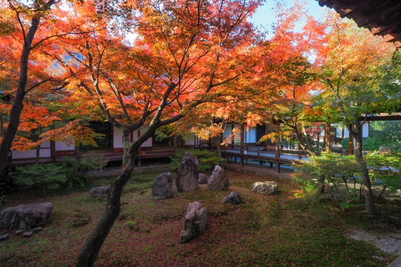 建仁寺（撮影日：2021年12月2日）