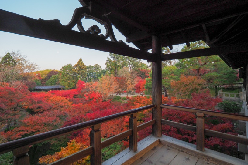 東福寺（撮影日：2021年11月21日）