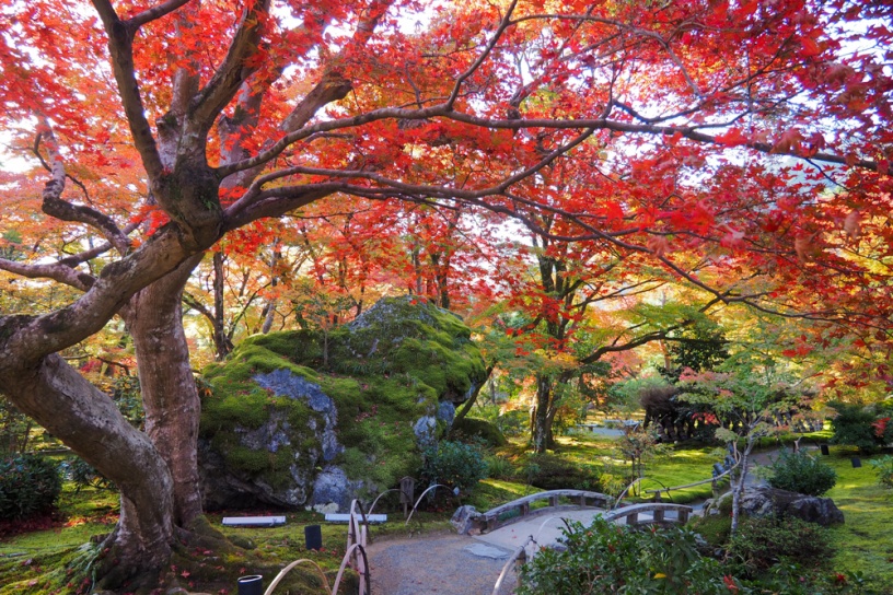 宝厳院