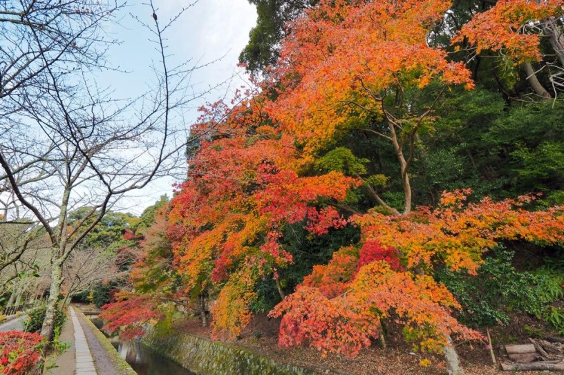 哲学の道