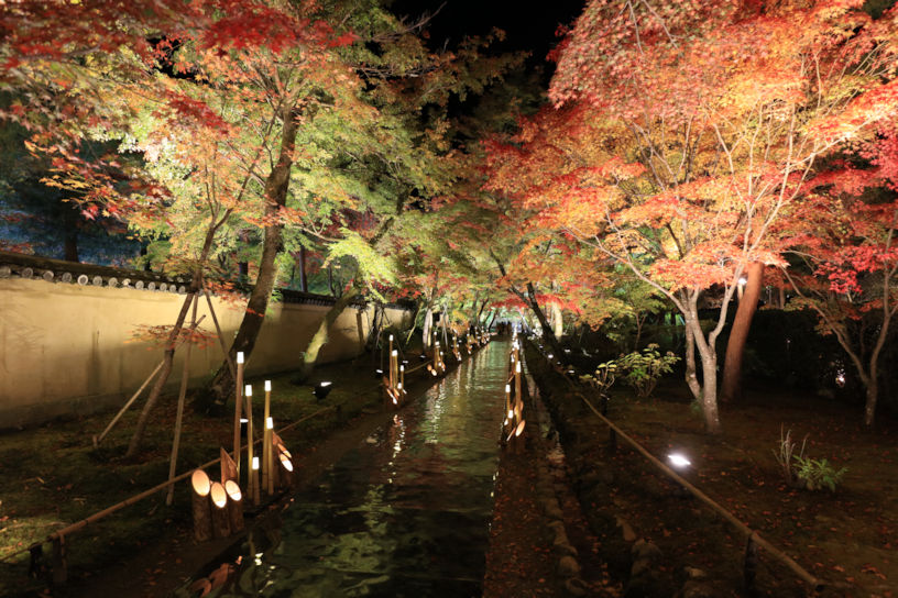 宝厳院 「ひかりの京都」の様子（撮影日：2022年11月16日）