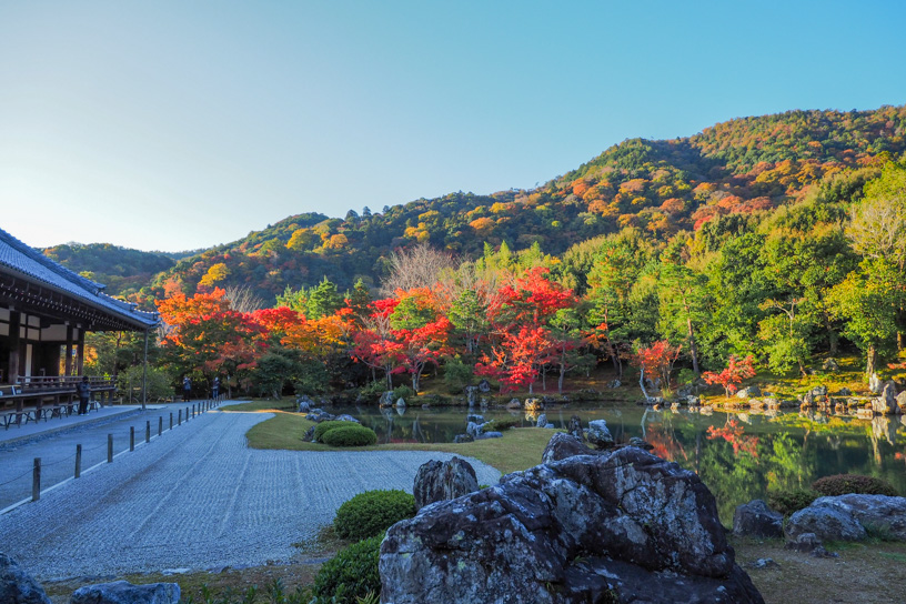 続々と見頃に！ この週末におすすめの紅葉名所はココ！（2022/11/18