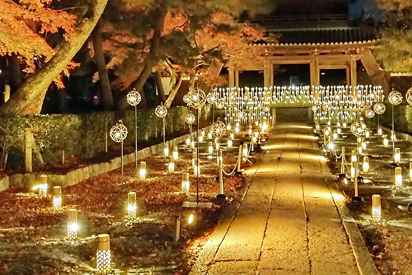 建仁寺 「ひかりの京都」の様子（撮影日：2022年11月27日）
