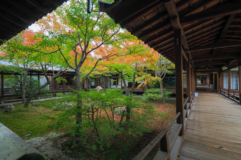 建仁寺（撮影日：2022年12月1日）