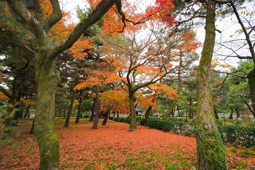 建仁寺 三門まわり（撮影日：2022年12月1日）