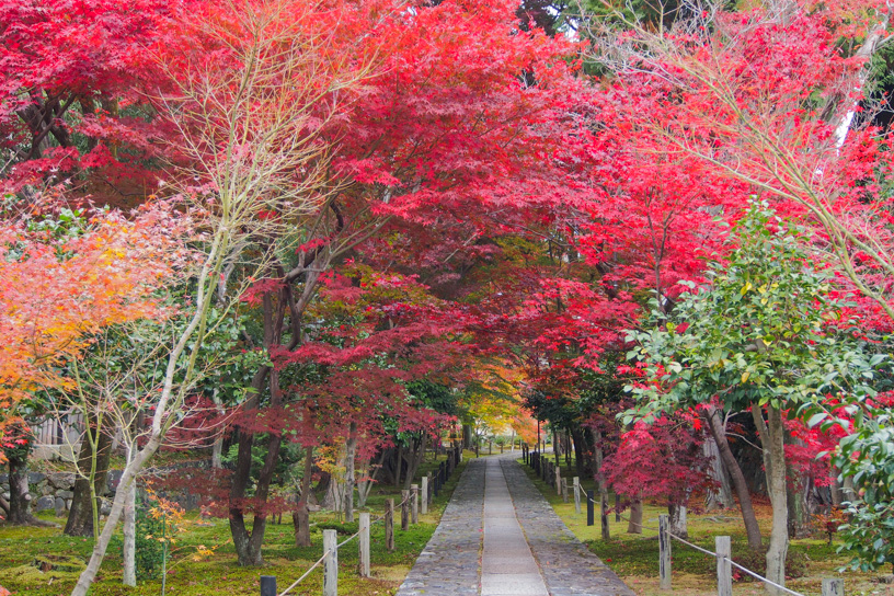 鹿王院（撮影日：2022年12月1日）