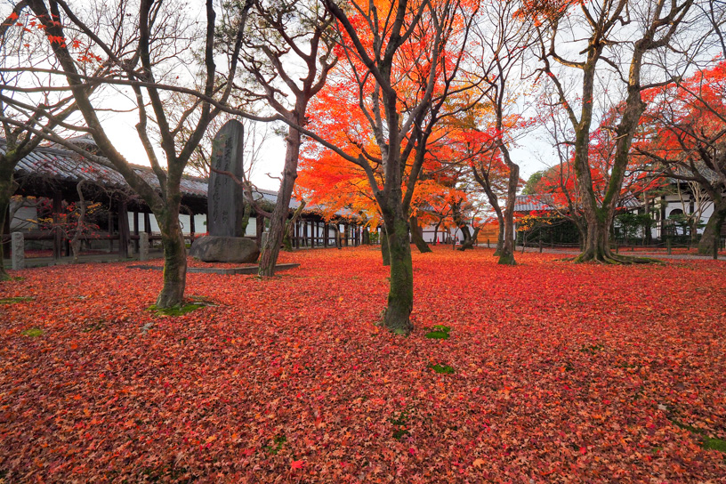 東福寺（撮影日：2022年12月1日）