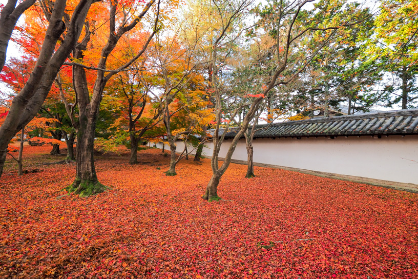 東福寺（撮影日：2022年12月1日）　　　