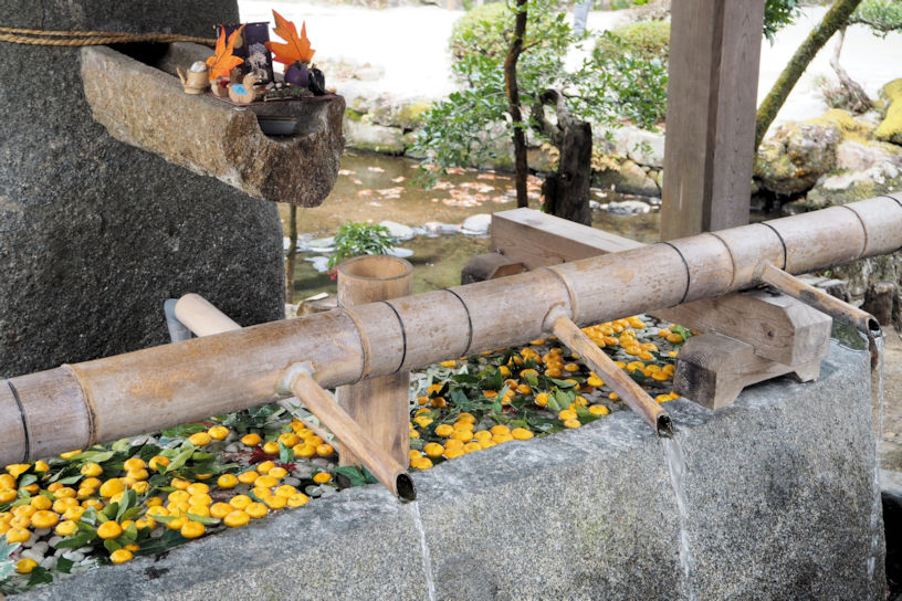 神山湧水を引いた手水舎。花手水など、季節によって素敵な演出をされています