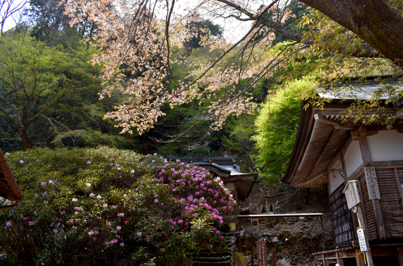 月輪寺