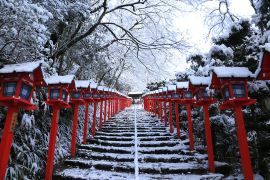 真冬の感動体験！ “雪化粧の京都”をたずねて｜そうだ 京都、行こう。