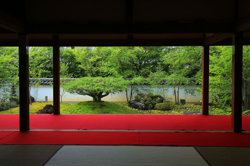 沙羅双樹の庭（初夏のイメージです）