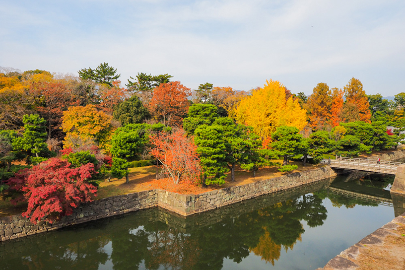 秋は城内の美しい紅葉風景を楽しめます