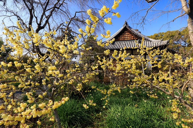 撮影日：2021年2月11日