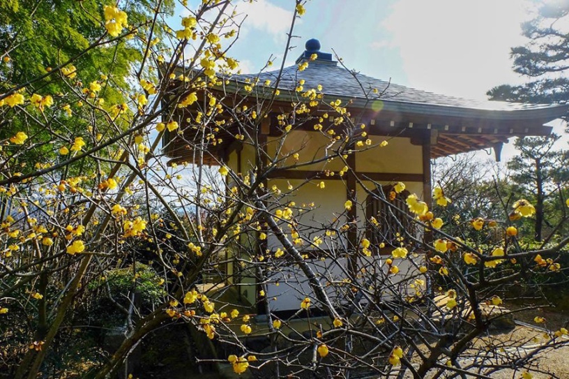 撮影日：2019年2月12日