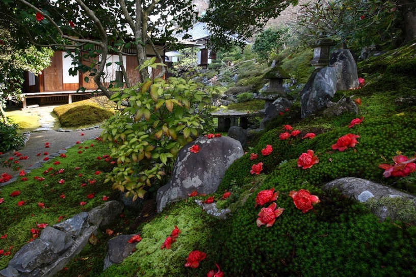 霊鑑寺門跡