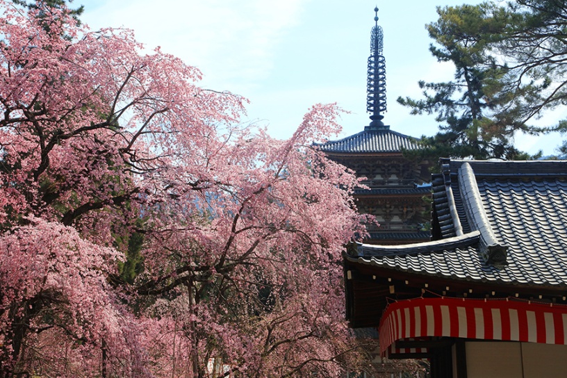 醍醐寺（伽藍エリア）