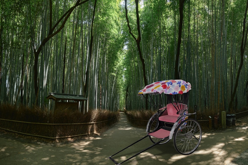 写真は乗車用の花咲く人力車（イメージです）