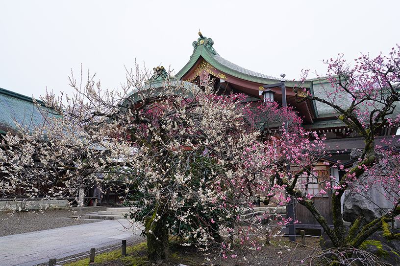 （撮影日：2023年2月23日）