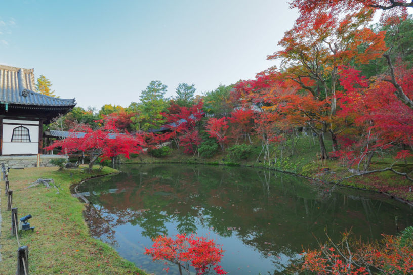 臥龍池を彩る紅葉