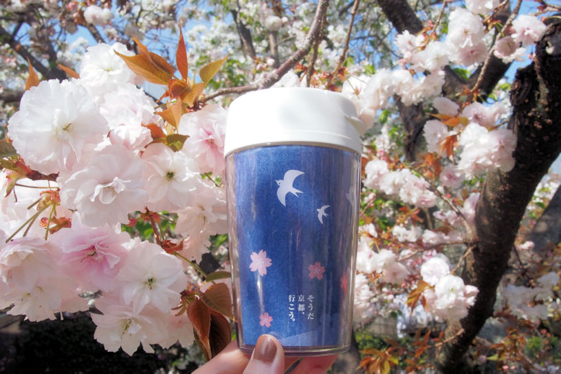 限定タングラー