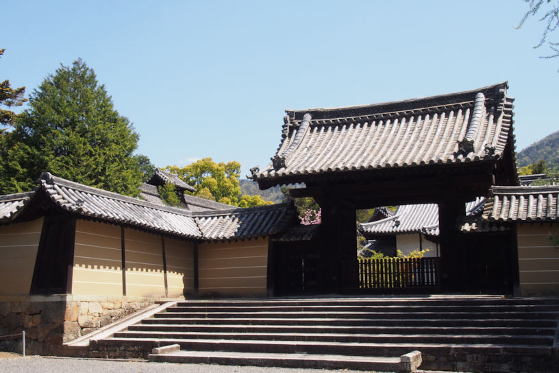 九条家ゆかりの天真院尼より寄進された薬医門。