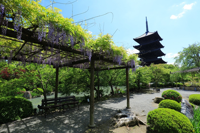撮影日：2023年4月27日（木）