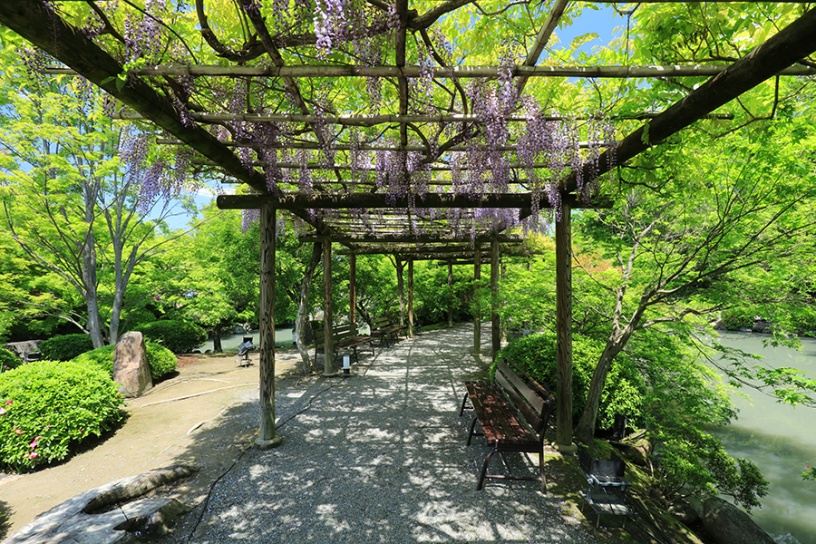 撮影日：2023年4月27日（木）