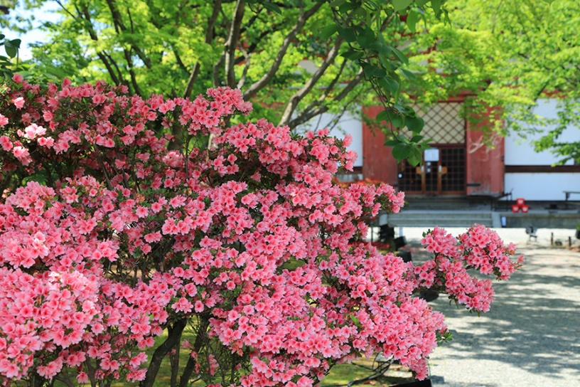 撮影日：2023年4月27日（木）