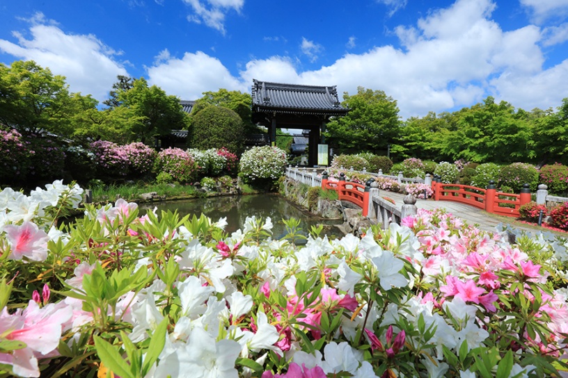 撮影日：2023年4月27日（木）