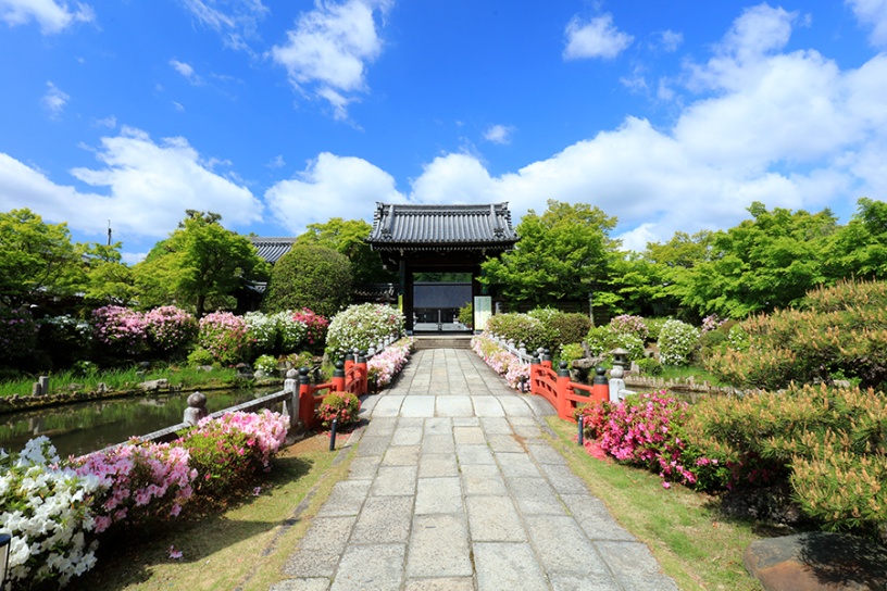 撮影日：2023年4月27日（木）