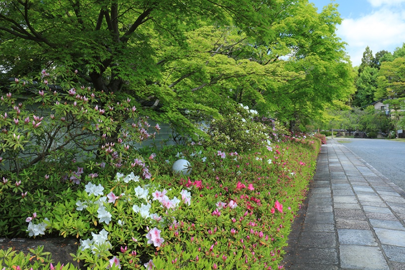 撮影日：2023年4月27日（木）