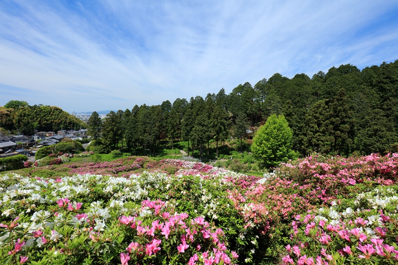 撮影日：2023年4月28日（金）　　　