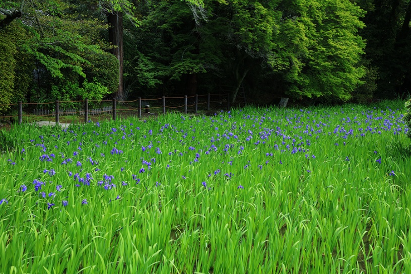 撮影日：2023年4月27日（木）　