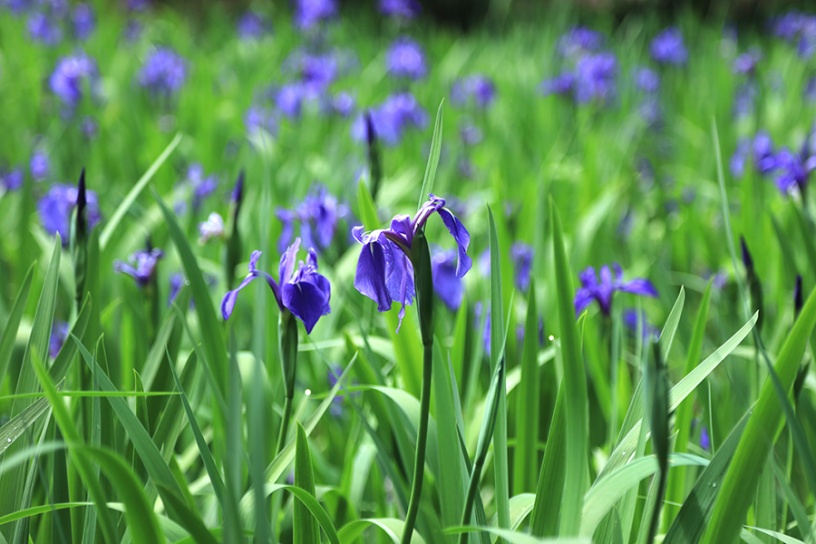 撮影日：2023年4月27日（木）