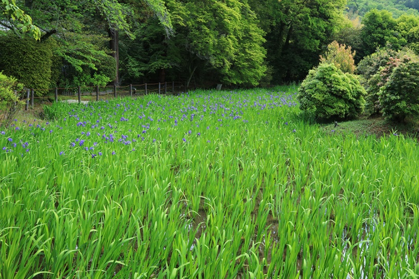 撮影日：2023年4月27日（木）