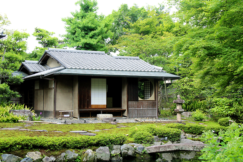 通常非公開の茶室も青もみじに包まれています。
