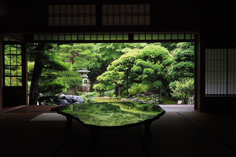 主屋から庭園を眺める。机に映り込む新緑が美しいですね。